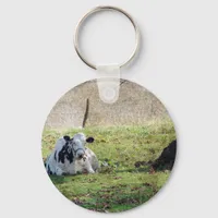 Resting Dairy Cow Keychain