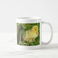 Ducklings Coffee Mug