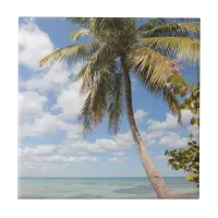 Isla Saona - Palm Tree at the Beach Ceramic Tile