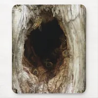 Wild Honey Bees in a Hollow Tree Mouse Pad