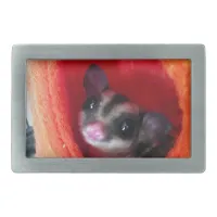 Sugar Glider in Orange Hanging Bed Belt Buckle