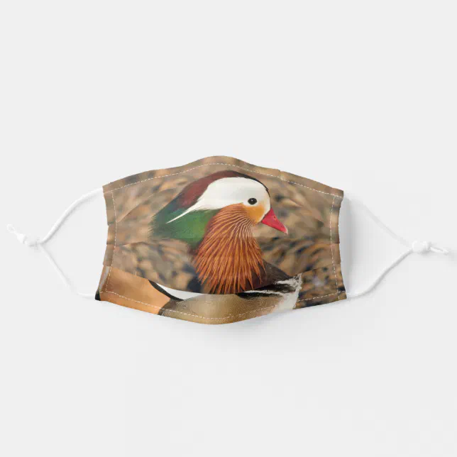 Beautiful Mandarin Duck on the Rocks Adult Cloth Face Mask