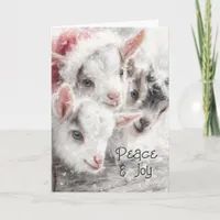 Cute Baby Goats - Snow Babies 4 Christmas Holiday Card