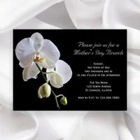 Orchid on Black Mother's Day Brunch Invitation