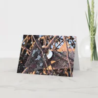 Junk Pile Rust and Fungi Still Life Card