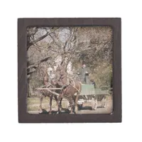 Two Horse Team and Wagon Gift Box