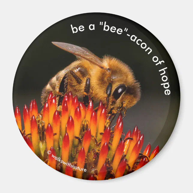 Be a "Bee"acon Beacon of Hope Bee on Echinacea Magnet