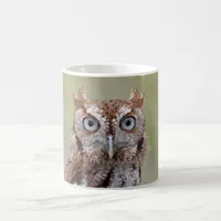 Eastern Screech Owl Photograph Coffee Mug