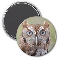 Eastern Screech Owl Photograph Magnet