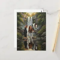 Gorgeous Pinto Horse at the Waterfall Postcard