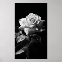 Long-stemmed white rose B&W photo