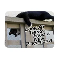 New Perspective Magnet