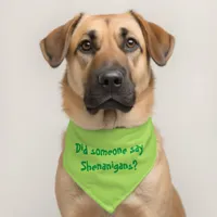 Did Someone Say Shenanigans? Happy Patricks Day Pet Bandana Collar