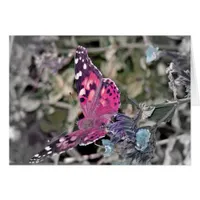 Artistic Butterfly