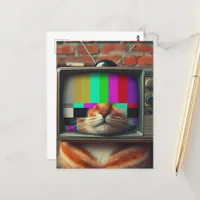 Cat With a vintage TV Face Postcard