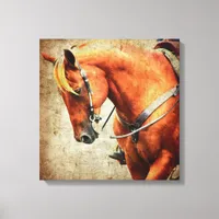 Western Sorrel Horse Canvas Print