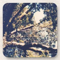 My fave Tree Coaster