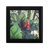 Christmas decorated cactus jewelry box
