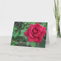 Happy Anniversary Love Red Rose Raindrops Card