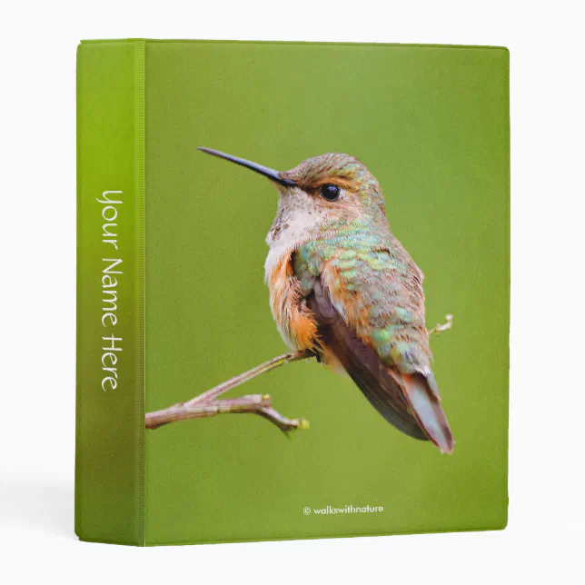 Rufous Hummingbird on California Lilac Branch Mini Binder