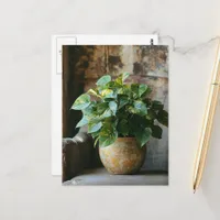 Pothos Plant in a Chair Postcard