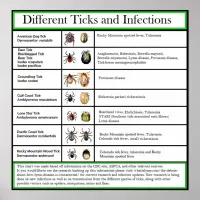 Different Ticks and Infections Chart