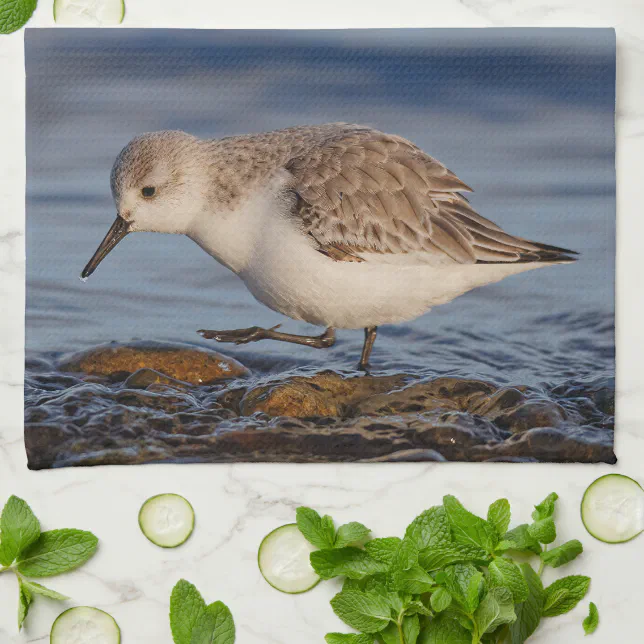 A Strolling Sanderling Towel