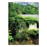 Abandoned White House in the Woods