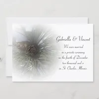 Snowy Pines Marriage / Elopement Announcement