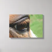 Horse Eye Canvas Print