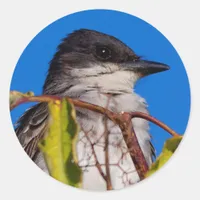 Avian Royalty: Eastern Kingbird Classic Round Sticker