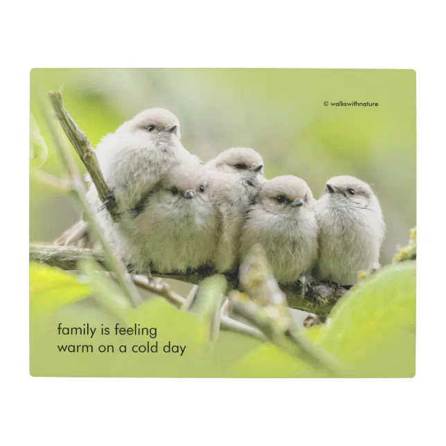 Inspirational Quote Family of Five Songbirds Metal Print