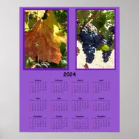 Calendar - 2024 Grapes on the vine Poster