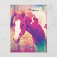 Paint Horse Grunge Postcard