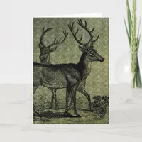 Vintage Deer, Christmas Holiday Card