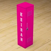 21st Birthday Girly Hot Pink College Locker Wine Box