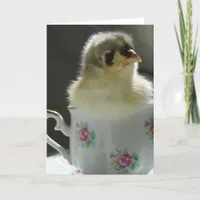 Blue Cochin Chick in a Teacup Card