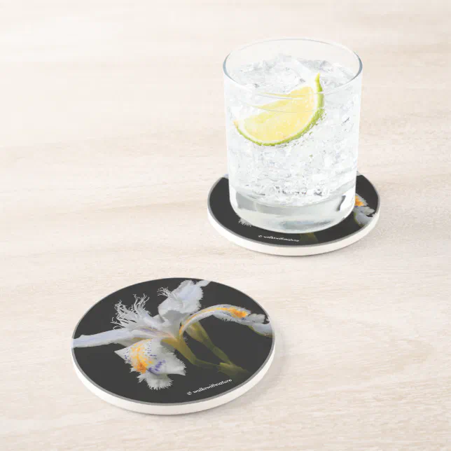 Elegant Floral Crested Shaga Japanese Iris Coaster