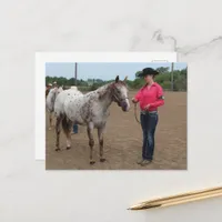 Horse Show Showmanship Postcard