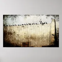 Pigeons Poster