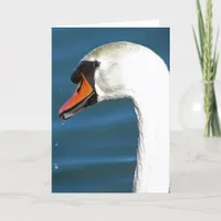 Swan Card