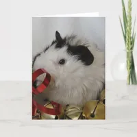 Guinea Pig With Gold Bells Card