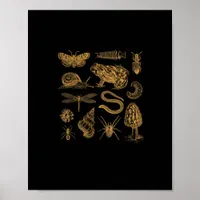 Frog Mushroom Moth Vintage Lover Goblincore Aesthe Poster