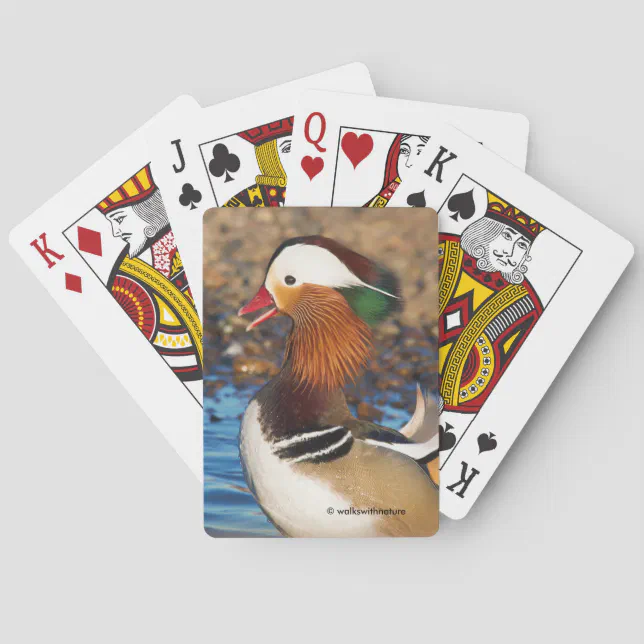 Beautiful Chatty Mandarin Duck at the Pond Poker Cards