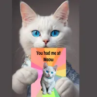 Cute kitten, Cat lover, you had me at Meow  Card