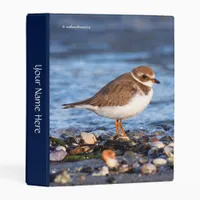 Beautiful Semipalmated Plover at the Beach Mini Binder