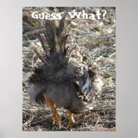Guess What?  Chicken Butt Poster