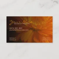 ZeSTiVE Business & Personal Card