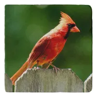 Northern Cardinal in Summer Nature Photography Trivet