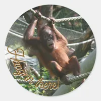 Baby Orangutan - Hang in there Classic Round Sticker